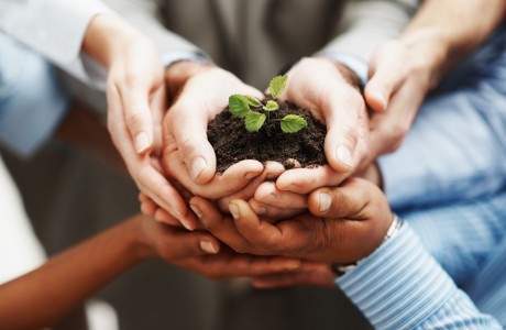 People Holding Plant in Dirt